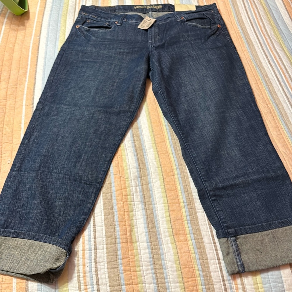 American eagle capris